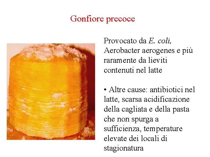 Gonfiore precoce Provocato da E. coli, Aerobacter aerogenes e più raramente da lieviti contenuti