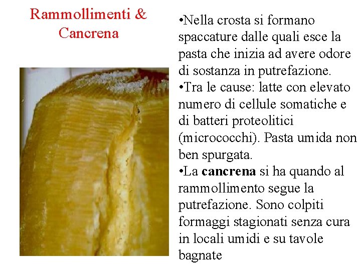Rammollimenti & Cancrena • Nella crosta si formano spaccature dalle quali esce la pasta