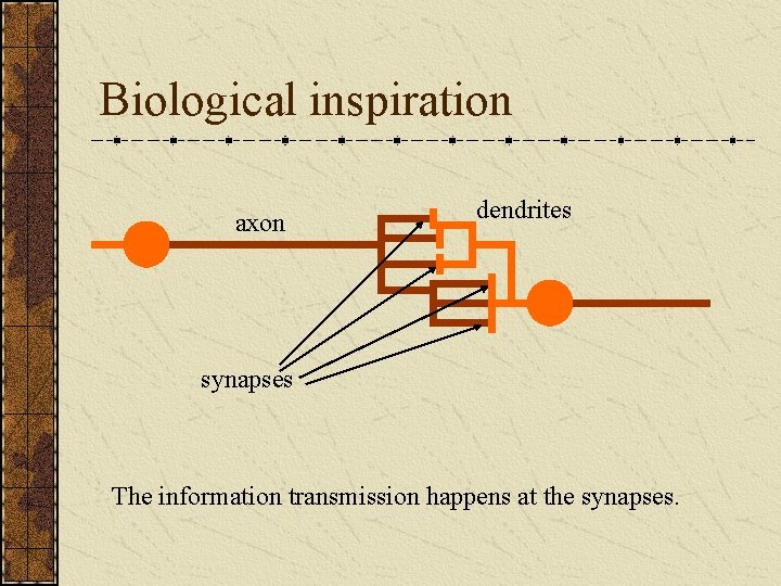 Biological inspiration axon dendrites synapses The information transmission happens at the synapses. 