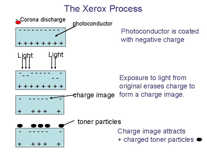 The Xerox Process - Corona discharge -----++++ Light - -++++ +- Photoconductor is coated The Xerox Process - Corona discharge -----++++ Light - -++++ +- Photoconductor is coated