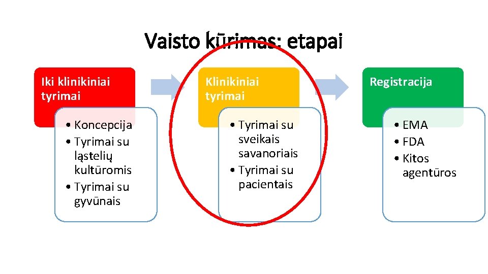 Vaisto kūrimas: etapai Iki klinikiniai tyrimai • Koncepcija • Tyrimai su ląstelių kultūromis •