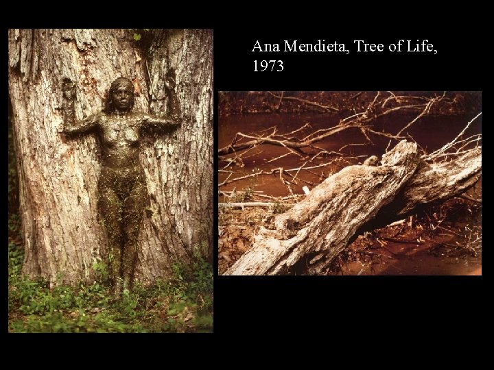 AM Tree of Life Ana Mendieta, Tree of Life, 1973 