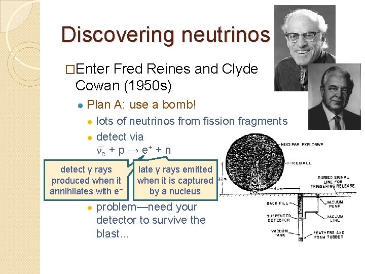 Discovering neutrinos �Enter Fred Reines and Clyde Cowan (1950 s) ● Plan A: use