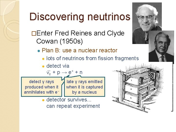 Discovering neutrinos �Enter Fred Reines and Clyde Cowan (1950 s) ● Plan B: use