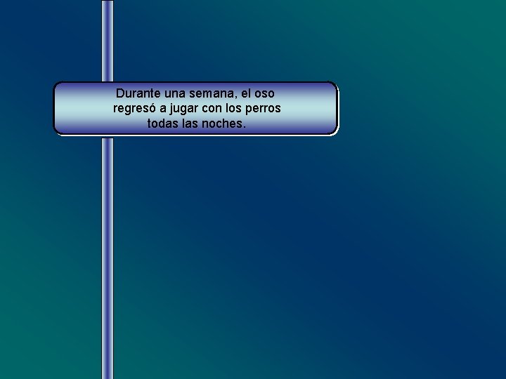 Durante una semana, el oso regresó a jugar con los perros todas las noches.