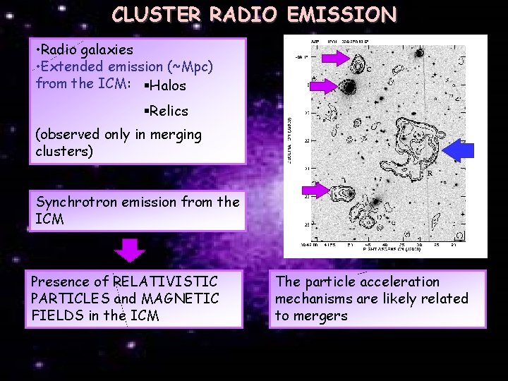 CLUSTER RADIO EMISSION • Radio galaxies • Extended emission (~Mpc) from the ICM: §Halos