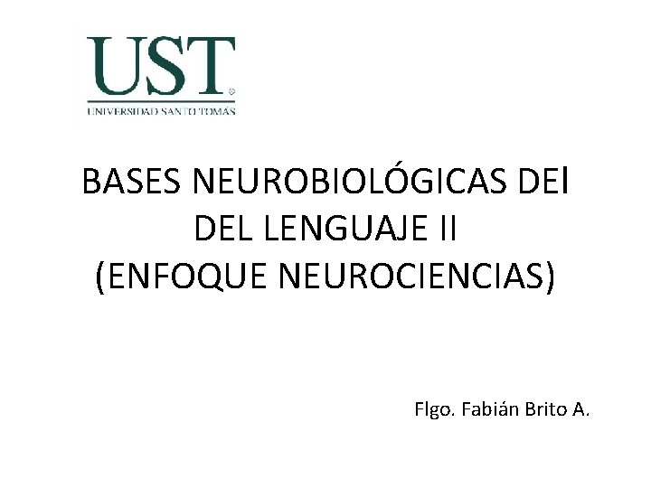 BASES NEUROBIOLÓGICAS DEl DEL LENGUAJE II (ENFOQUE NEUROCIENCIAS) Flgo. Fabián Brito A. 