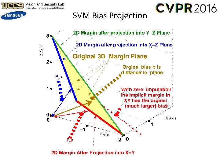 SVM Bias Projection 