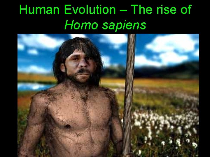 Human Evolution – The rise of Homo sapiens 