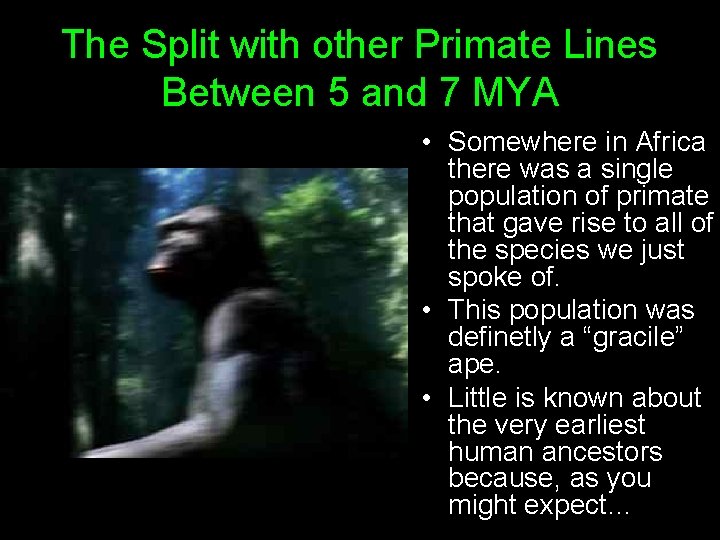 The Split with other Primate Lines Between 5 and 7 MYA • Somewhere in