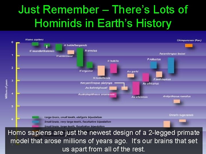 Just Remember – There’s Lots of Hominids in Earth’s History Homo sapiens are just