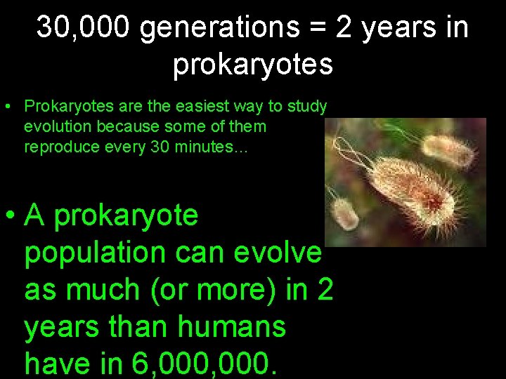 30, 000 generations = 2 years in prokaryotes • Prokaryotes are the easiest way