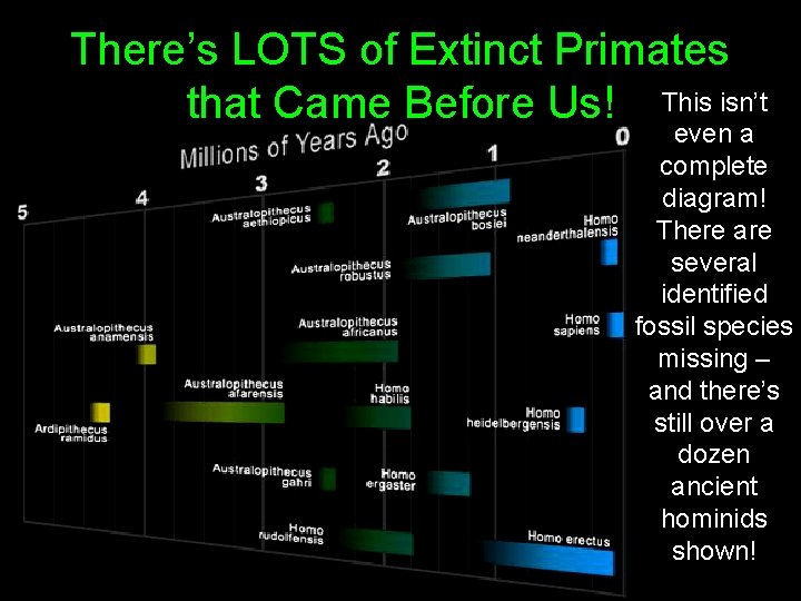 There’s LOTS of Extinct Primates that Came Before Us! This isn’t even a complete