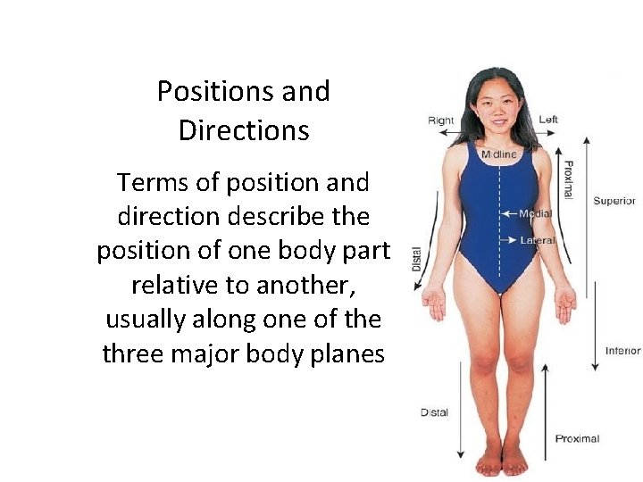 Positions and Directions Terms of position and direction describe the position of one body