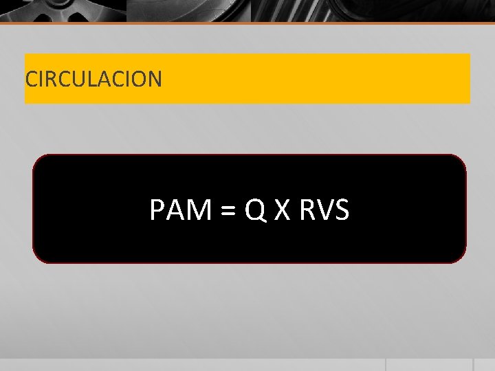 CIRCULACION PAM = Q X RVS 