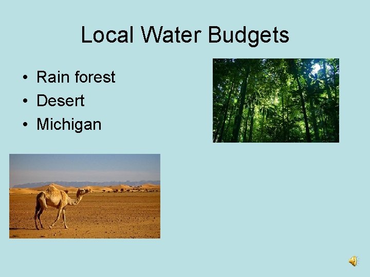 Local Water Budgets • Rain forest • Desert • Michigan 