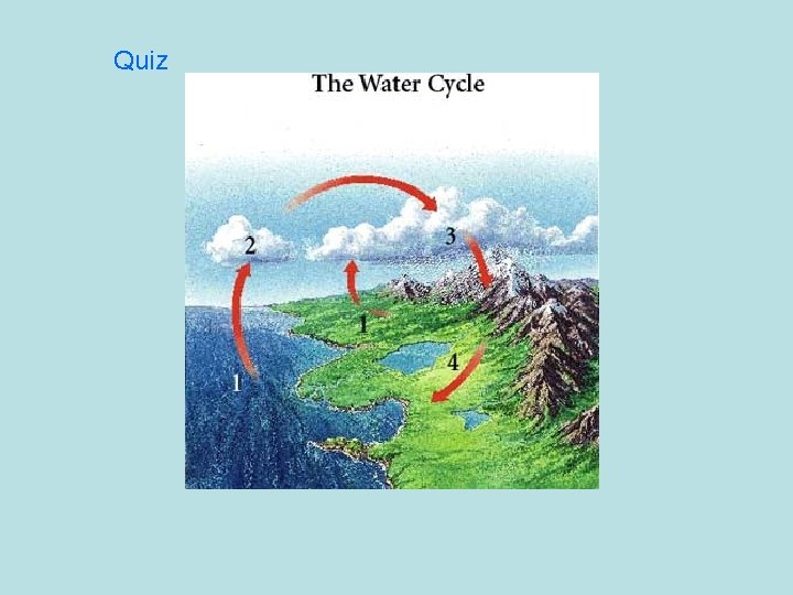 Quiz 