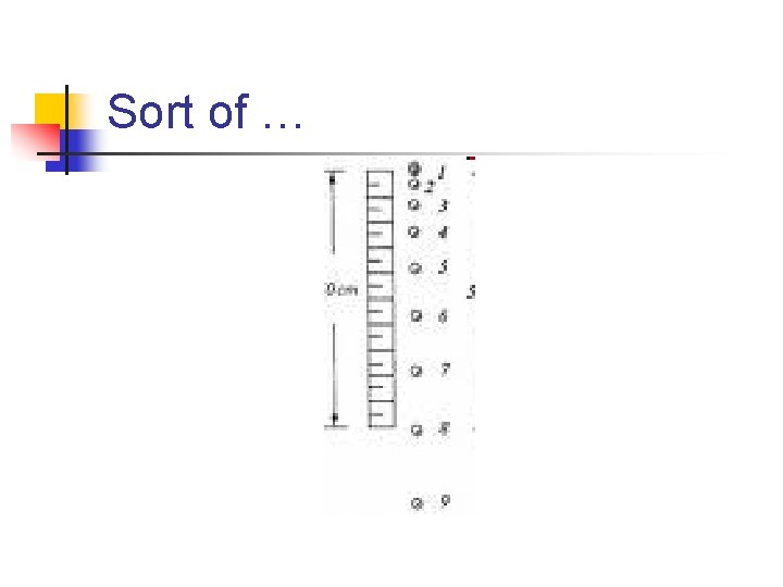 Sort of … 