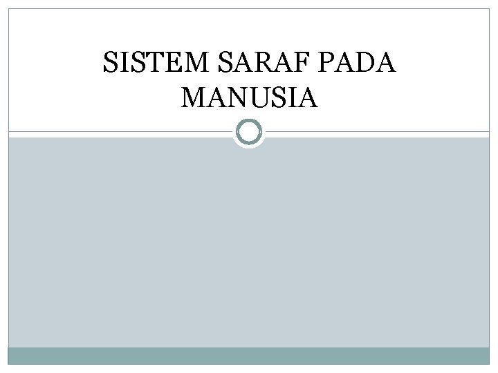 SISTEM SARAF PADA MANUSIA 
