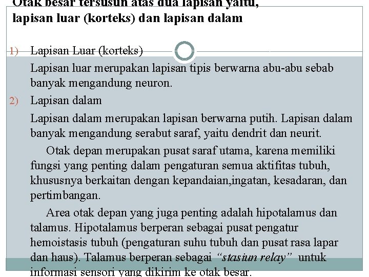 Otak besar tersusun atas dua lapisan yaitu, lapisan luar (korteks) dan lapisan dalam Lapisan