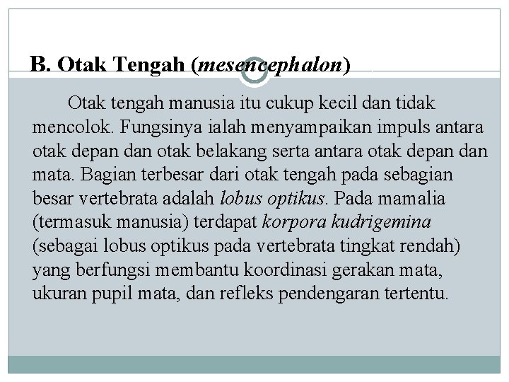 B. Otak Tengah (mesencephalon) Otak tengah manusia itu cukup kecil dan tidak mencolok. Fungsinya