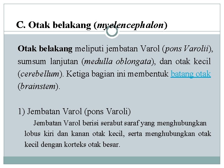 C. Otak belakang (myelencephalon) Otak belakang meliputi jembatan Varol (pons Varolii), sumsum lanjutan (medulla