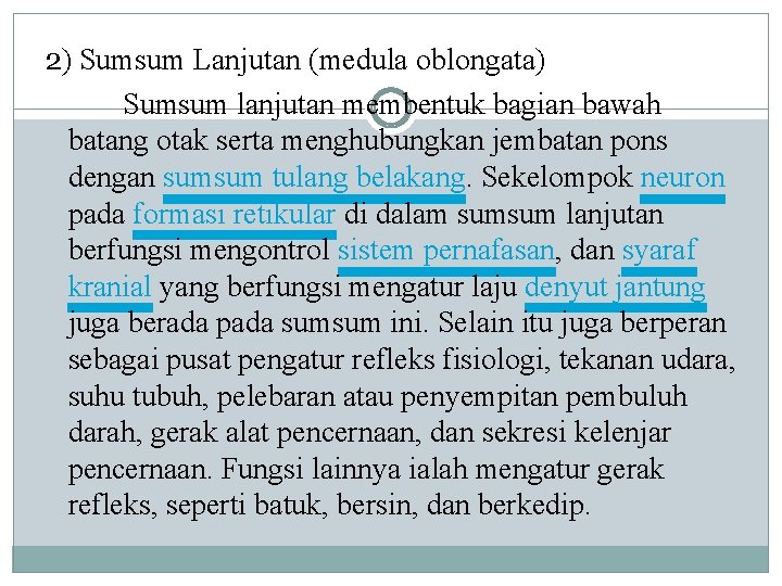 2) Sumsum Lanjutan (medula oblongata) Sumsum lanjutan membentuk bagian bawah batang otak serta menghubungkan