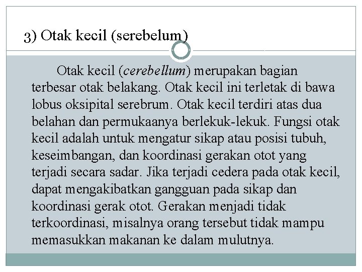 3) Otak kecil (serebelum) Otak kecil (cerebellum) merupakan bagian terbesar otak belakang. Otak kecil