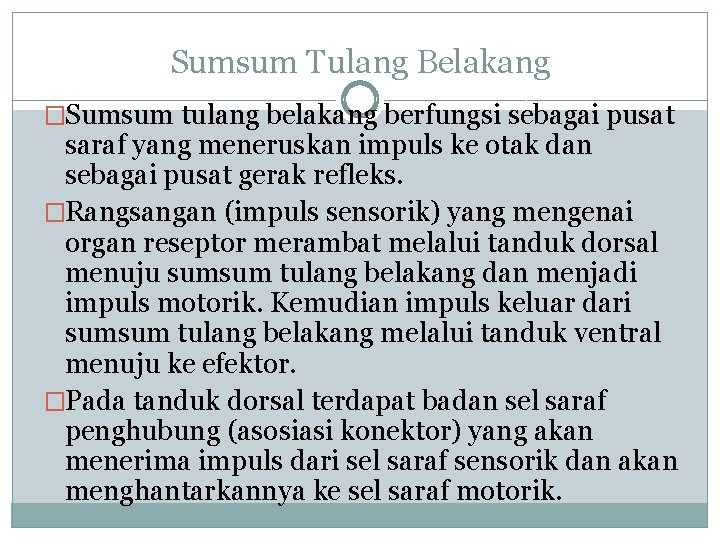 Sumsum Tulang Belakang �Sumsum tulang belakang berfungsi sebagai pusat saraf yang meneruskan impuls ke