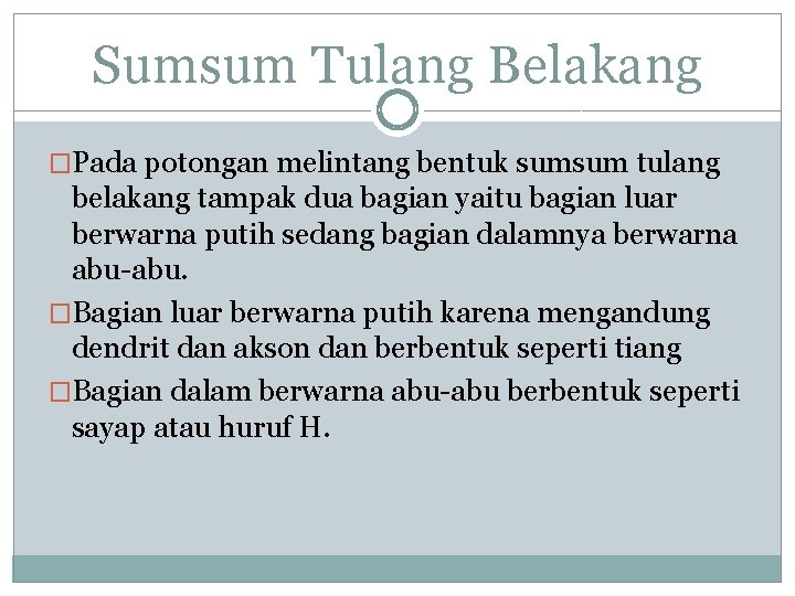 Sumsum Tulang Belakang �Pada potongan melintang bentuk sumsum tulang belakang tampak dua bagian yaitu
