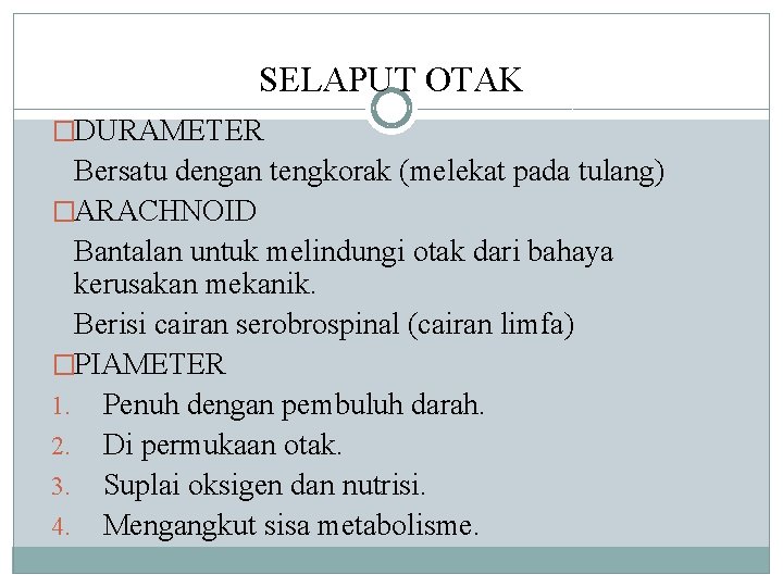 SELAPUT OTAK �DURAMETER Bersatu dengan tengkorak (melekat pada tulang) �ARACHNOID Bantalan untuk melindungi otak
