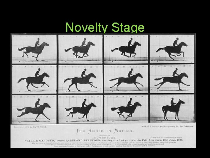 Novelty Stage How do you make images MOVE? ? ? • Flip book •