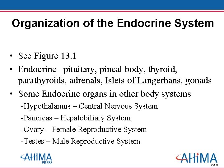 Organization of the Endocrine System • See Figure 13. 1 • Endocrine –pituitary, pineal