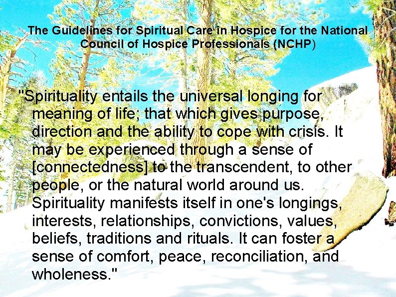 The Guidelines for Spiritual Care in Hospice for the National Council of Hospice Professionals