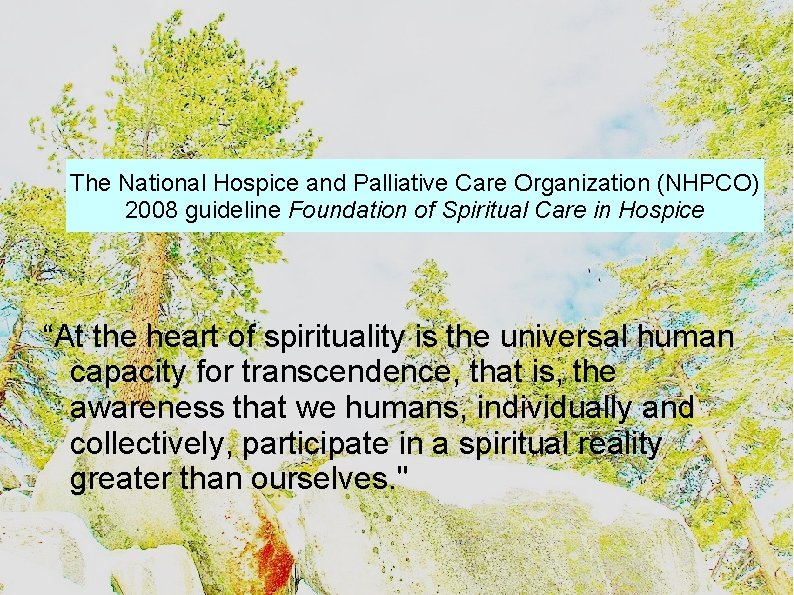 The National Hospice and Palliative Care Organization (NHPCO) 2008 guideline Foundation of Spiritual Care