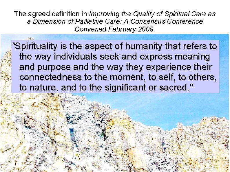 The agreed definition in Improving the Quality of Spiritual Care as a Dimension of