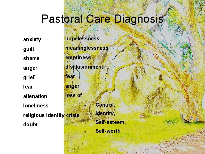 Pastoral Care Diagnosis anxiety hopelessness guilt meaninglessness shame emptiness anger disillusionment grief fear anger