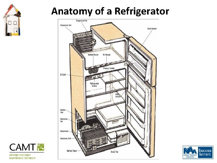 Anatomy of a Refrigerator 