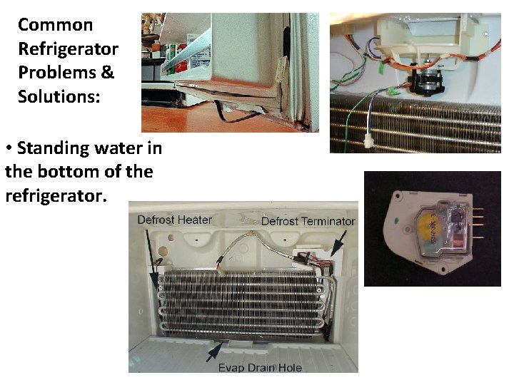 Common Refrigerator Problems & Solutions: • Standing water in the bottom of the refrigerator.