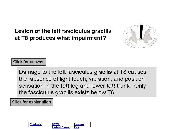 Lesion of the left fasciculus gracilis at T 8 produces what impairment? Click for