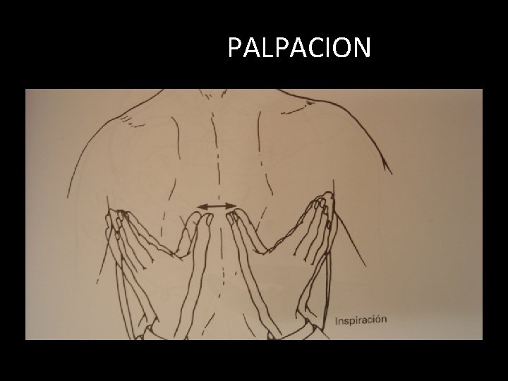 PALPACION PALPACION