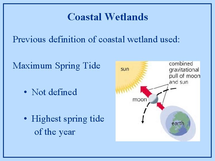 Coastal Wetlands Previous definition of coastal wetland used: Maximum Spring Tide • Not defined