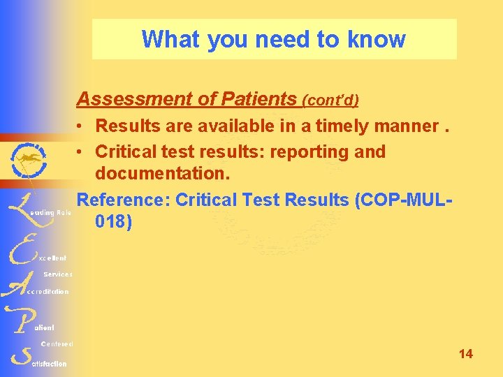 What you need to know Assessment of Patients (cont’d) • Results are available in