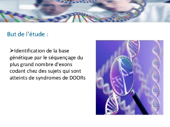 But de l’étude : ØIdentification de la base génétique par le séquençage du plus