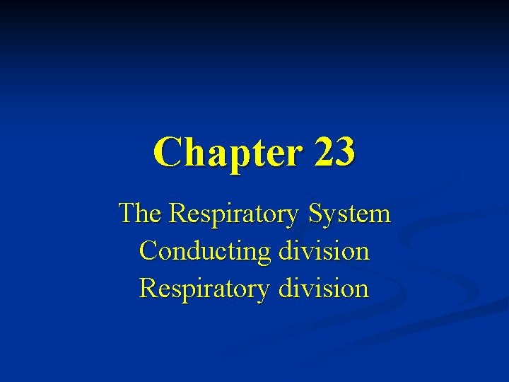 Chapter 23 The Respiratory System Conducting division Respiratory division 