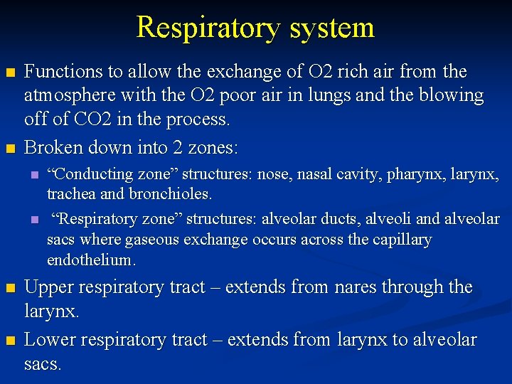 Respiratory system n n Functions to allow the exchange of O 2 rich air