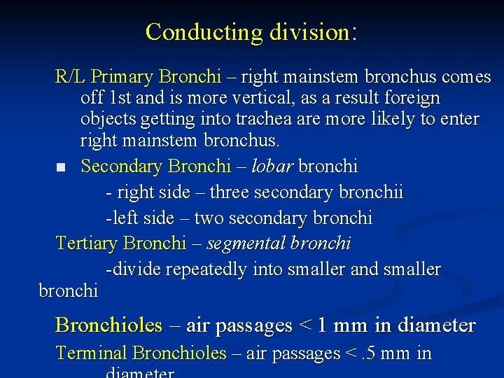 Conducting division: R/L Primary Bronchi – right mainstem bronchus comes off 1 st and