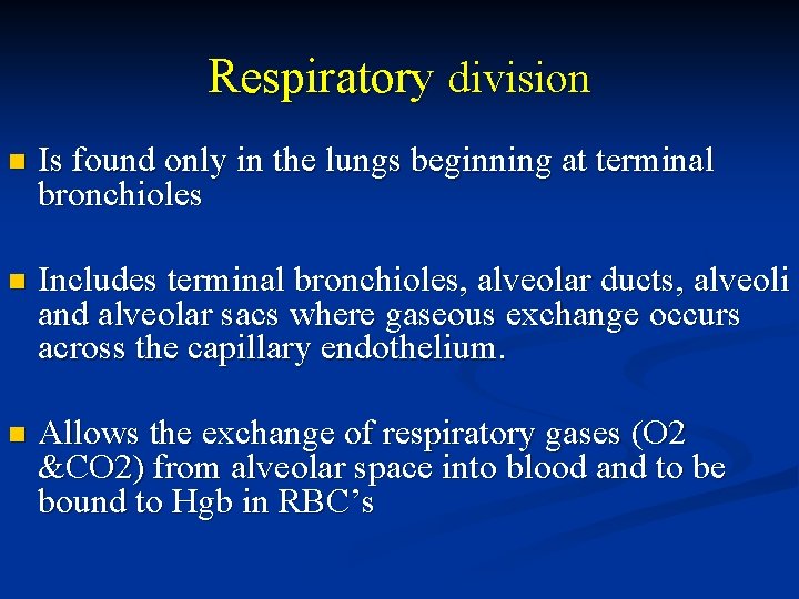 Respiratory division n Is found only in the lungs beginning at terminal bronchioles n