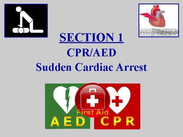 SECTION 1 CPR/AED Sudden Cardiac Arrest 