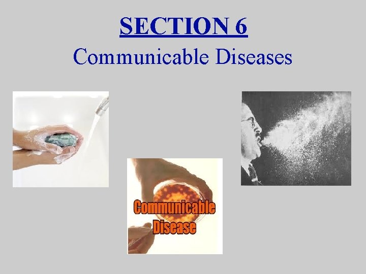 SECTION 6 Communicable Diseases 